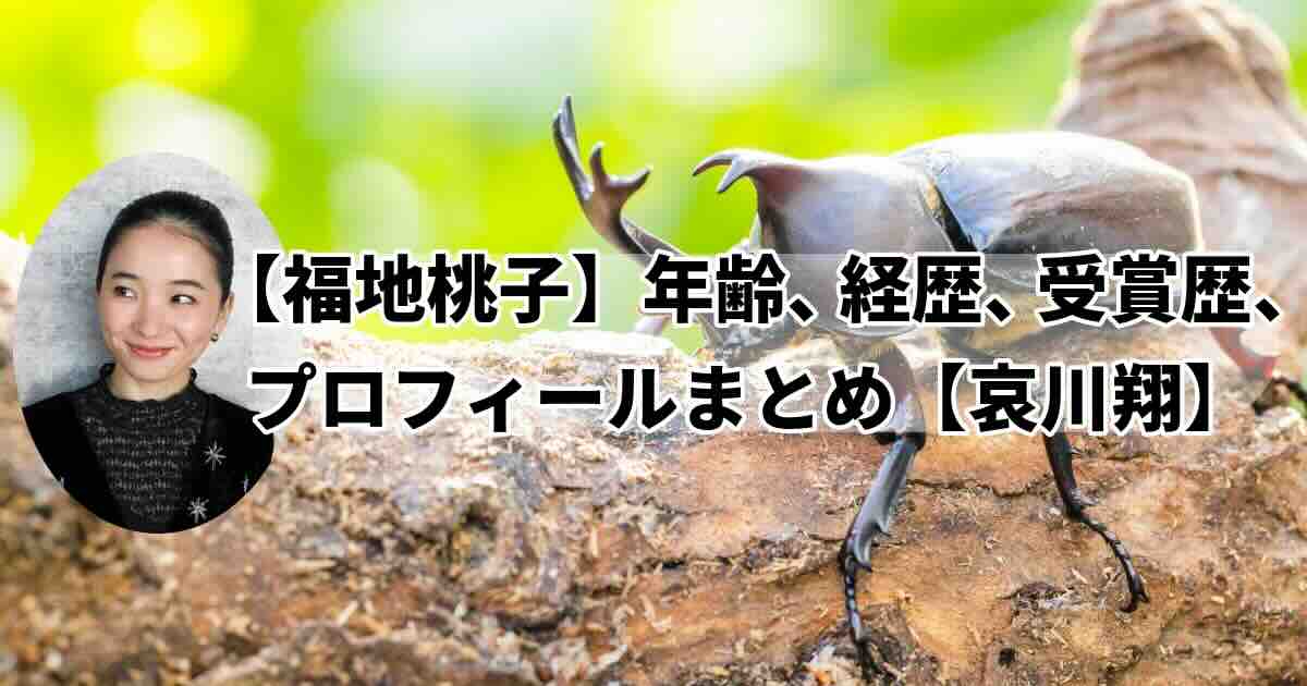 お父さんは哀川翔!福地桃子の経歴・学歴