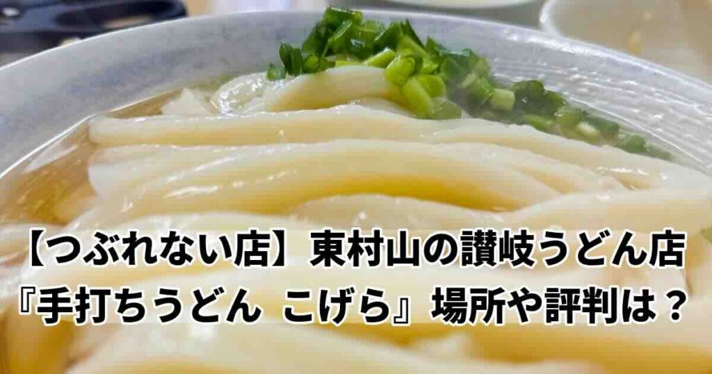 つぶれない店東村山の激安手打ちうどんこげら