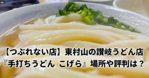 つぶれない店東村山の激安手打ちうどんこげら