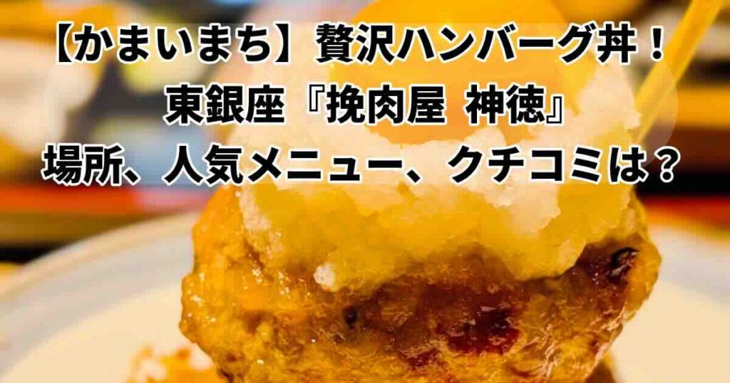 かまいまち贅沢ハンバーグ丼どこ？東銀座『挽肉屋神徳』