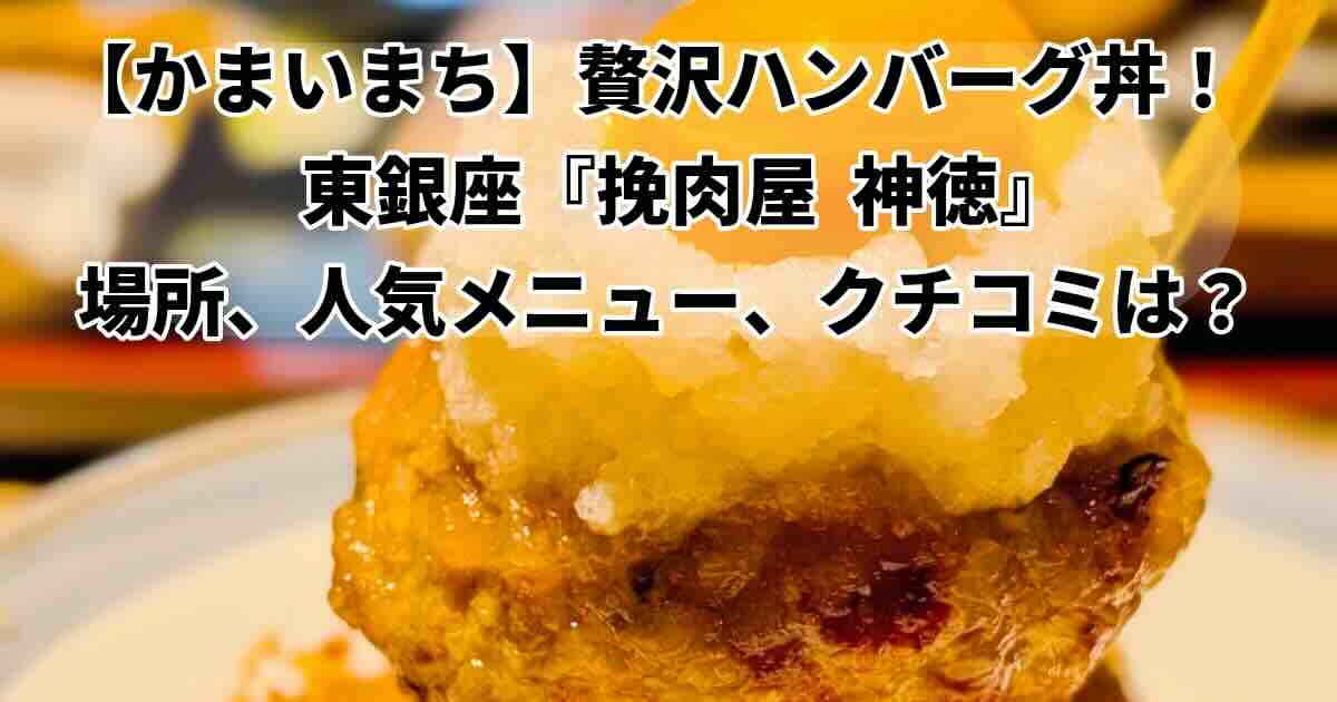 かまいまち贅沢ハンバーグ丼どこ？東銀座『挽肉屋神徳』
