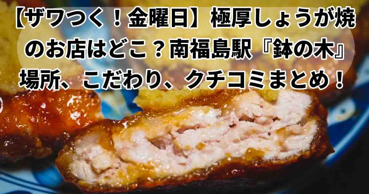 ザワつく金曜日福島「鉢木」どこ？場所、こだわり徹底解説！