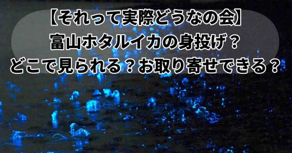 それって実際どうなの会国本梨紗富山ホタルイカ