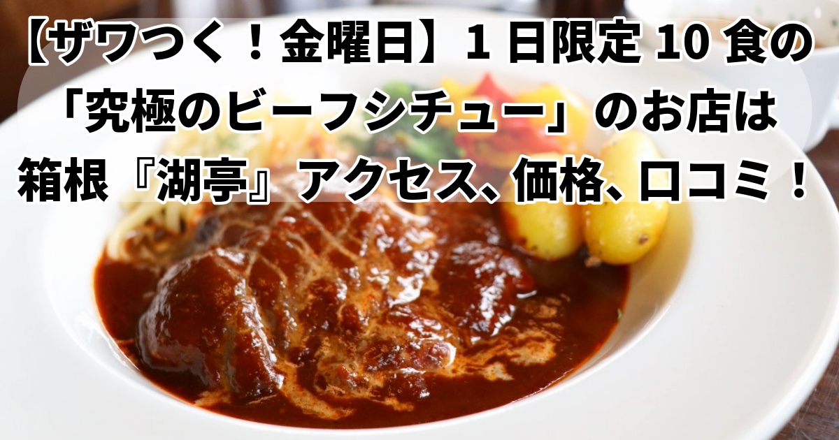 ザワつく！究極のビーフシチューどこ？限定10食『湖亭』