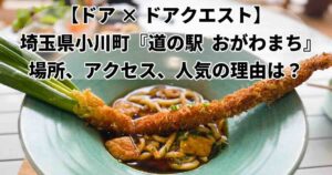 道の駅おがわまちドアドアクエスト
