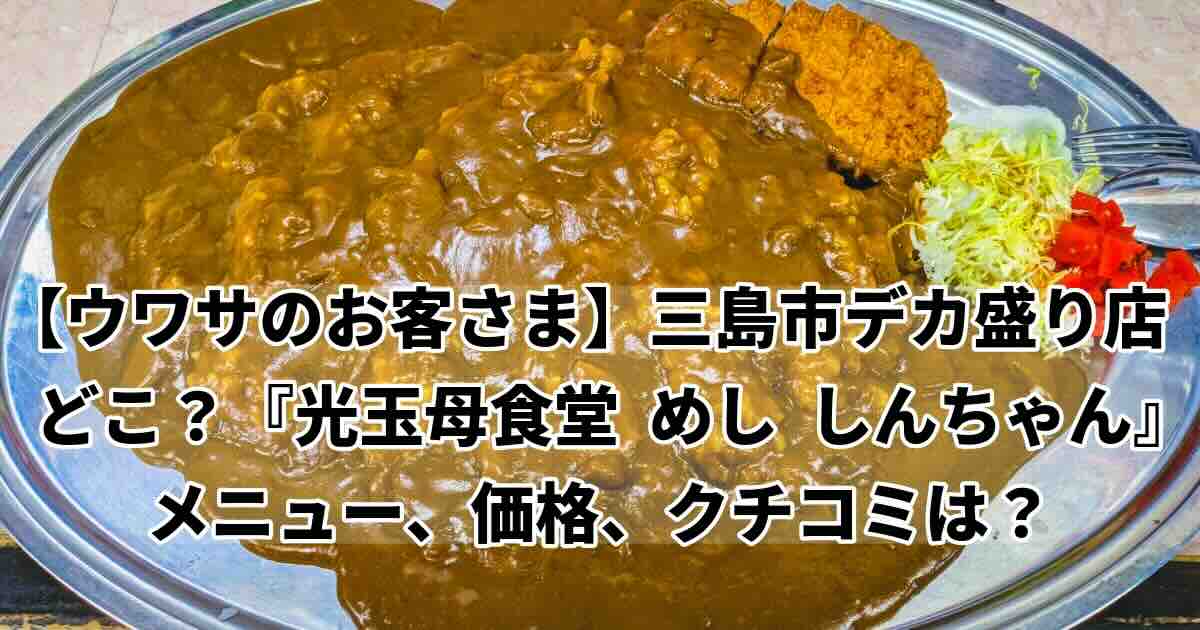 ウワサのお客さまデカ盛り食堂どこ？三島「光玉母食堂めししんちゃん」