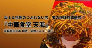 つぶれない店中華食堂天海の酸辣湯麺