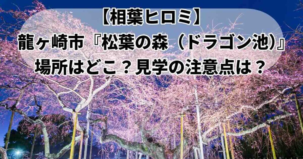 ドラゴン池松葉の森相葉ヒロミ