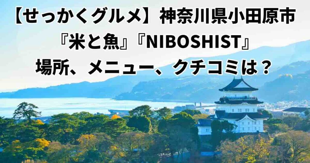 向井くんが行った「米と魚」「NIBOSHIST」